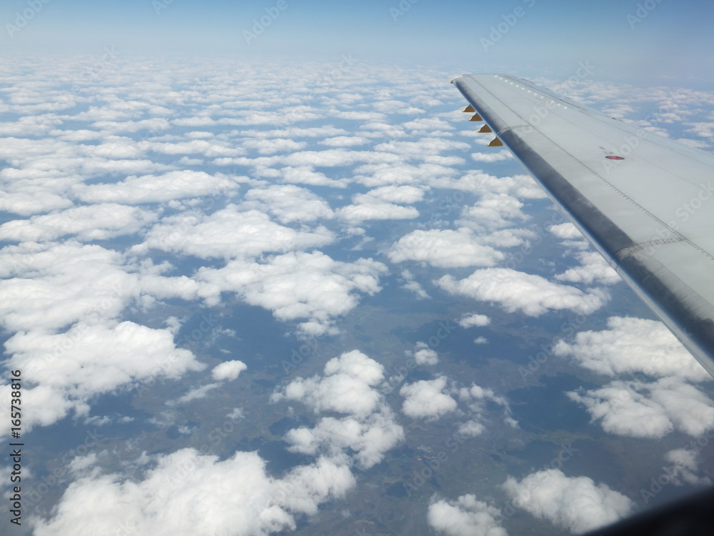 Obraz premium flight