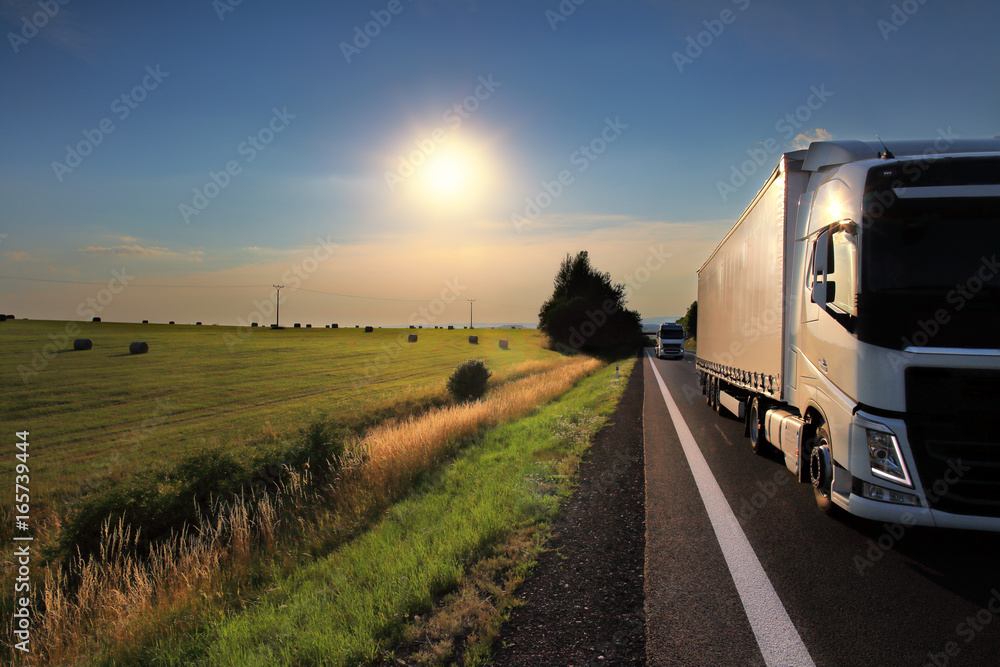 Obraz premium Truck on the road