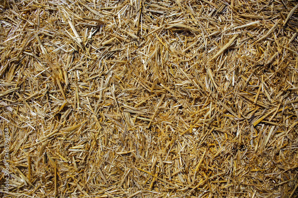 gold hay light pattern texture, hay background, hay concept, village gold hay light pattern texture, hay background, hay concept, village