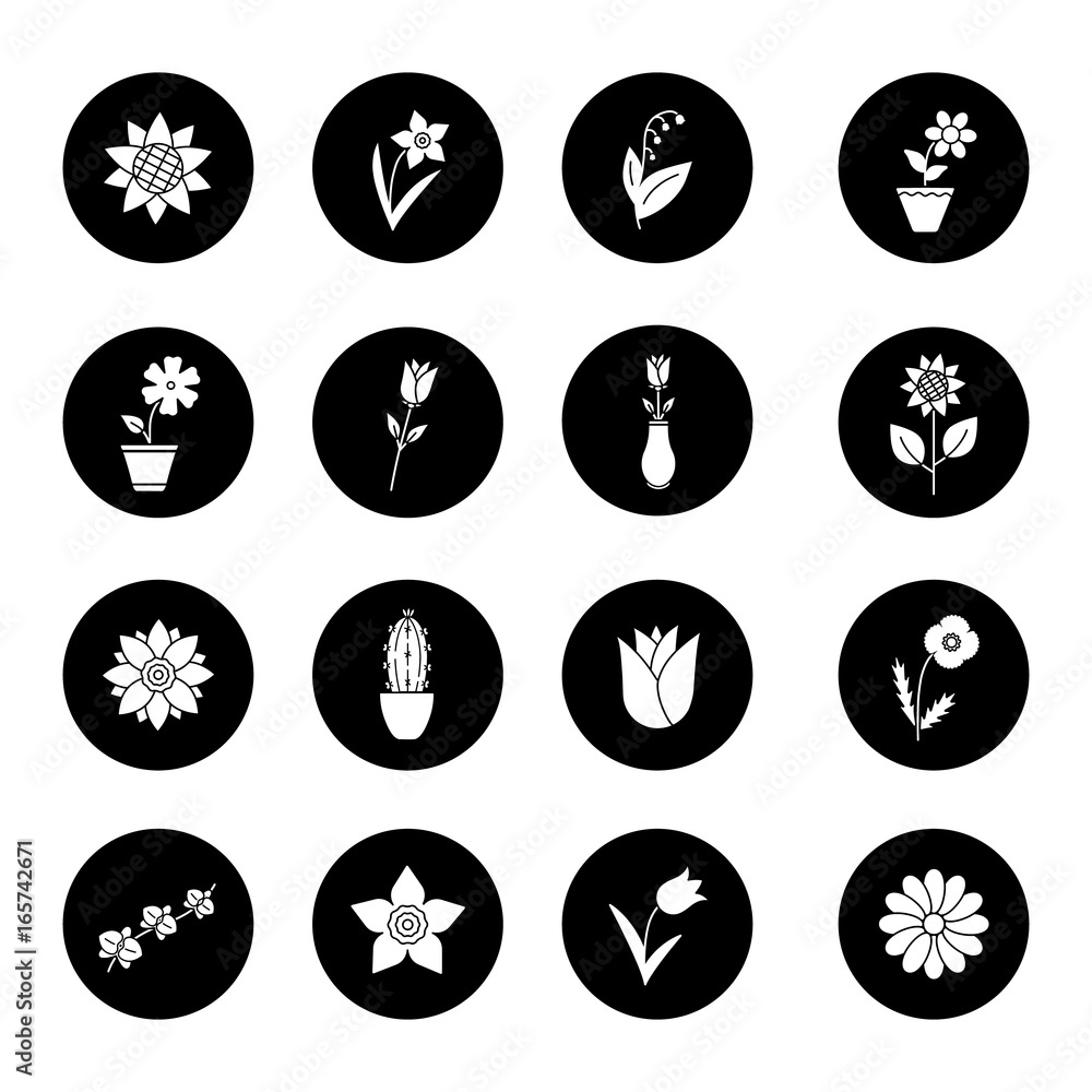 Flowers glyph icons set Flowers glyph icons set