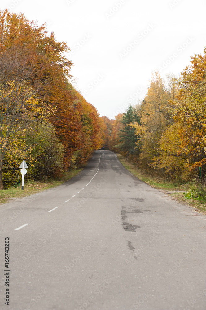 Obraz premium Autumn forest road