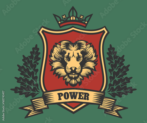 Coat of Arms with Lion Head photo