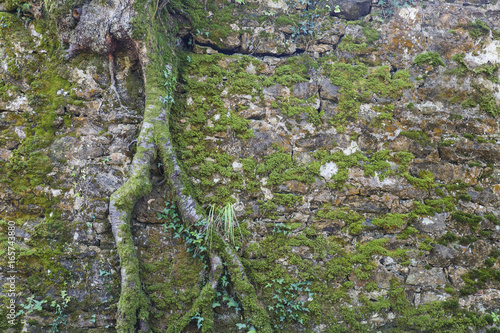 Ametzagana fort, donostia photo