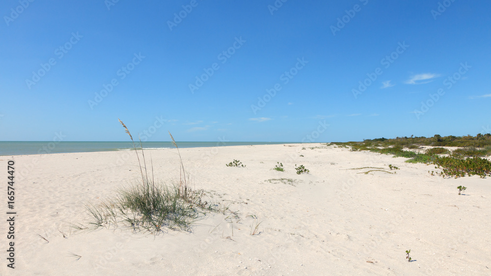 Beach of Sanibel Island, Florida, USA
