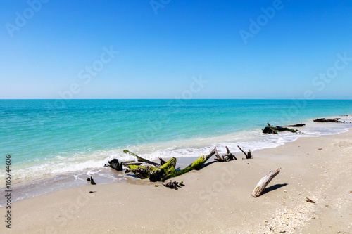 Coast of Sanibel Island, Florida, USA