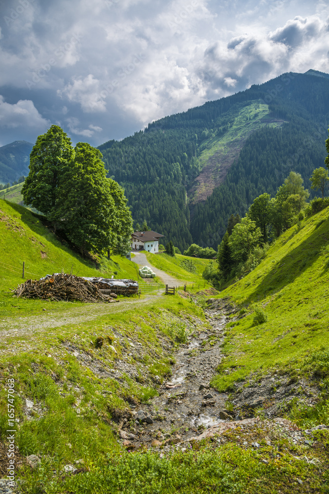 Naklejka premium Autriche/paysage