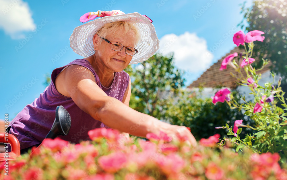 Senior woman working in her garden with a plants. Hobbies and leisure Senior woman working in her garden with a plants. Hobbies and leisure