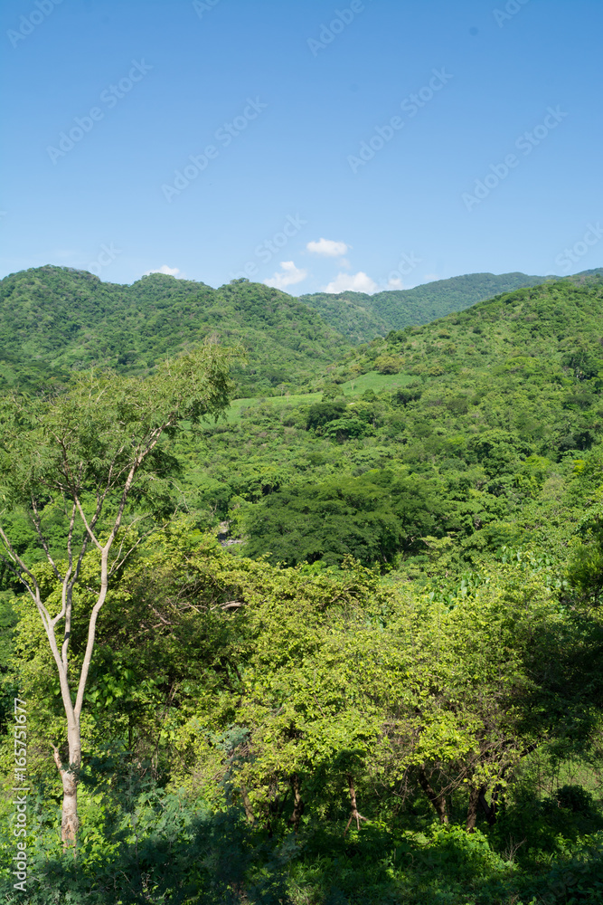 Fototapeta premium la sidra