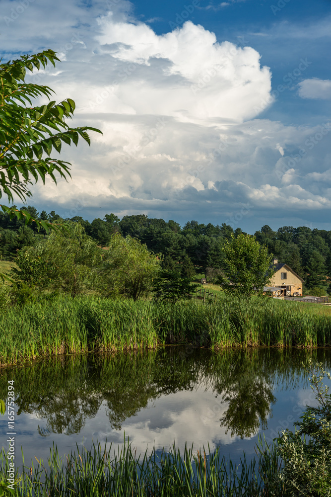 A small, reed-lined pond reflects the gathering storm in the background on a sleepy horse farm in the countryside.