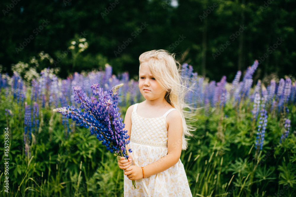 Lost, lonely, cute child kid little blonde girl with offended, sad, tragic, poor tear-stained expressive emotion face standing on road with lupin field on background in wild terrain. Flowers at hands Lost, lonely, cute child kid little blonde girl with offended, sad, tragic, poor tear-stained expressive emotion face standing on road with lupin field on background in wild terrain. Flowers at hands