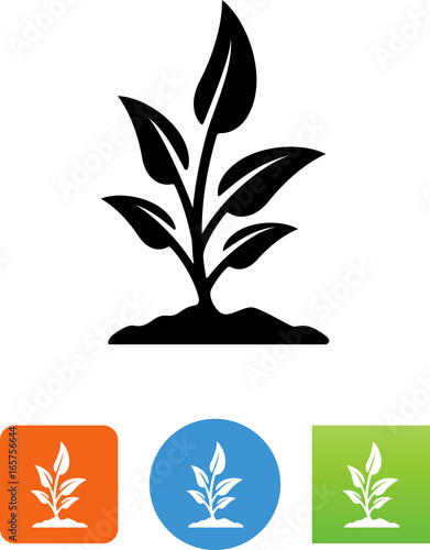 Growing Plant Icon - Illustration