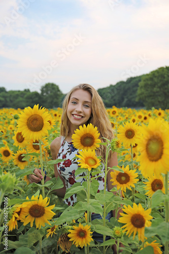 sunflowers1