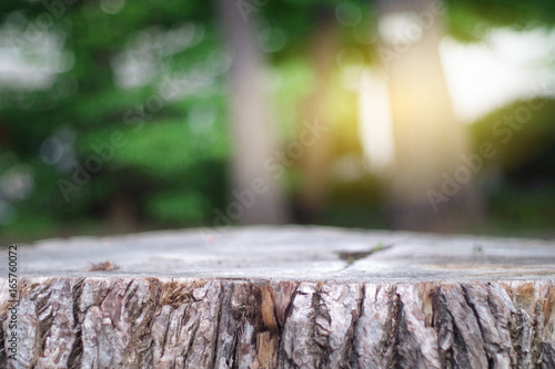 wood table with blurred tree background for display