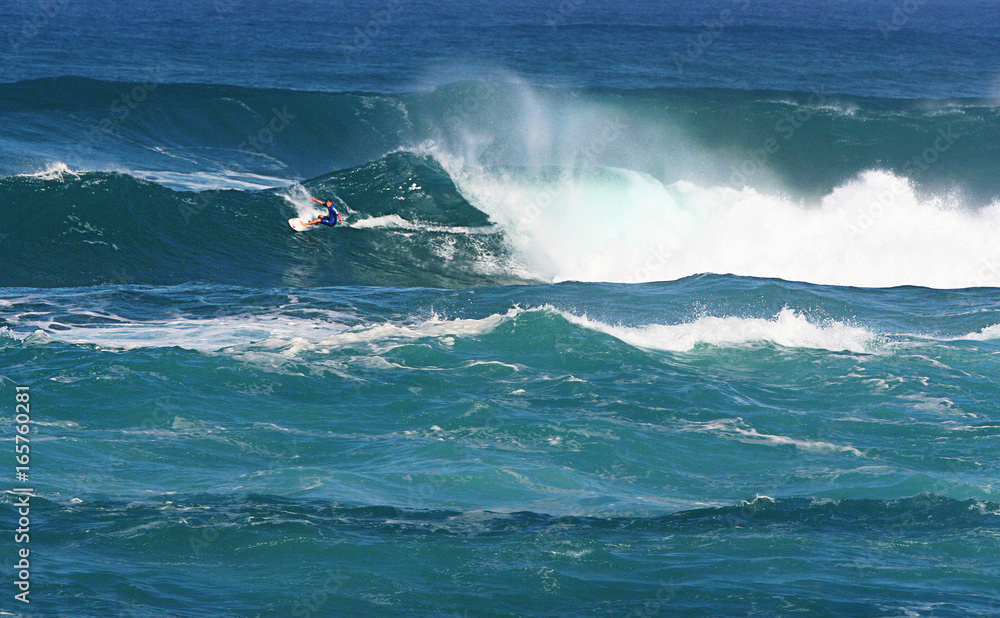 Obraz premium Catch a wave