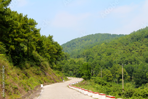 rural road © dinhngochung