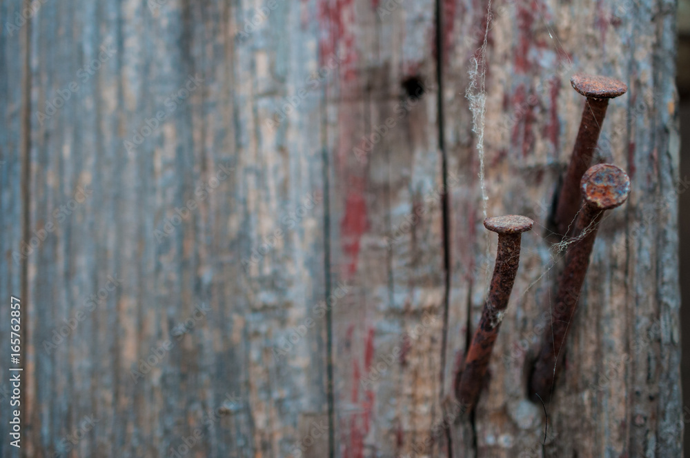 Rusty old nails in wooden fence Rusty old nails in wooden fence
