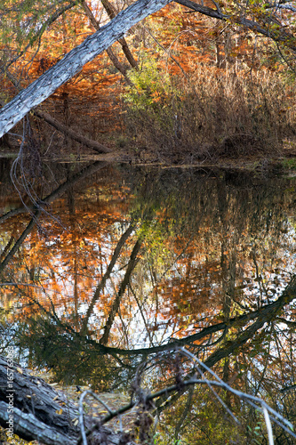 Reflecting Pond 1