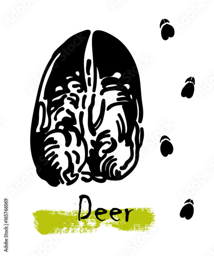 Silhouettes of traces of wild animals. Traces of a deer. Vector illustration