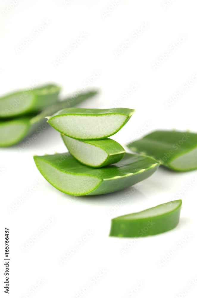 Fototapeta premium Aloe vera leaves