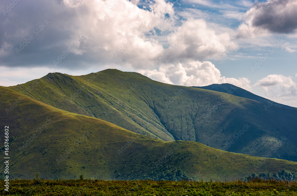 Carpathian Mountain Range in summer