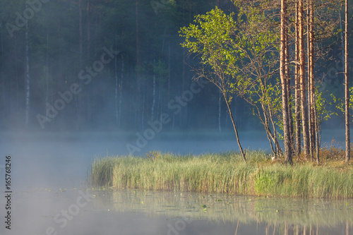 Forest reflecting to small lake at morning © Juhku