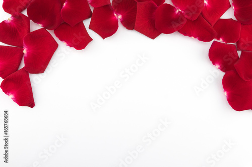 Red rose petals with copy space on white background