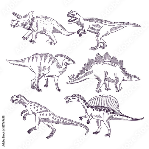 Wild life with dinosaurs. Hand drawn illustrations set of t rex and other dino types