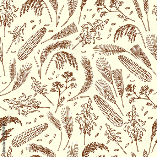 Seamless pattern of organic foods. Cereals, rice, grains