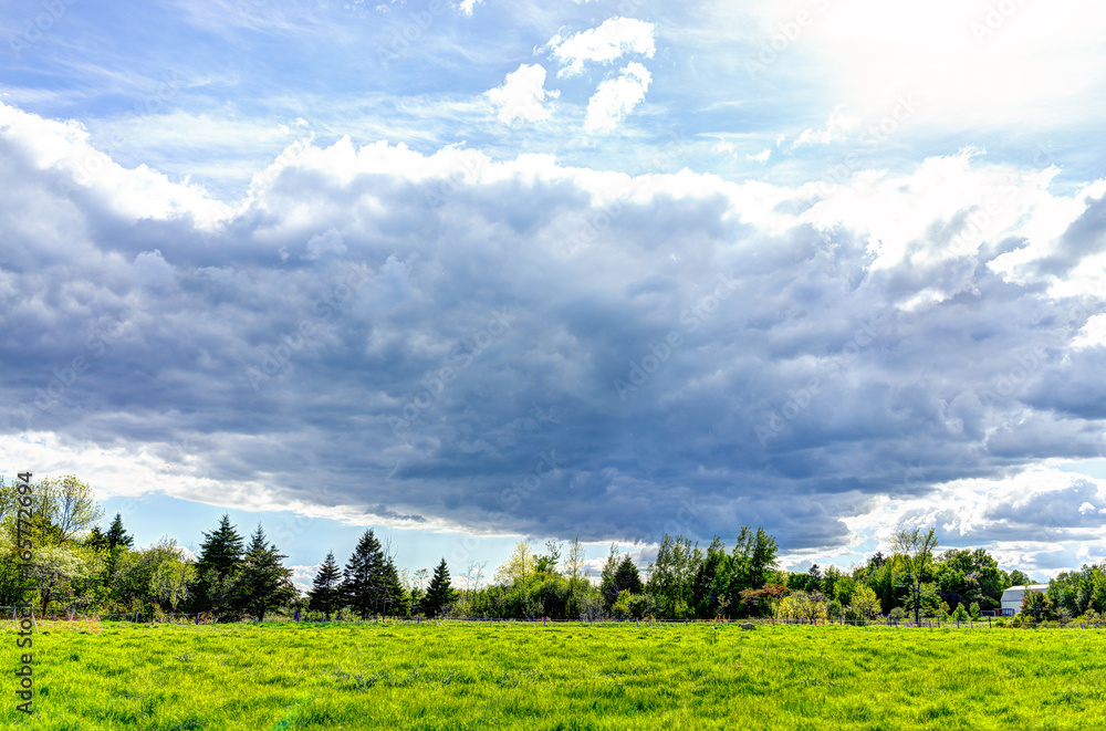 Stormy large gray cloudscape with green sheep pasture during summer Stormy large gray cloudscape with green sheep pasture during summer
