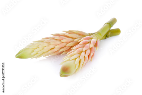 peeled Cassumunar ginger (Phlai Thai text), native and edible flowers on white background photo