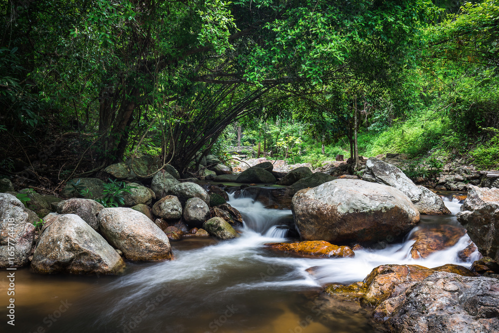 Watercourse of rocks in tropical woods Watercourse of rocks in tropical woods