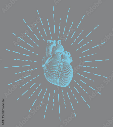 Human heart with starburst shine illustration