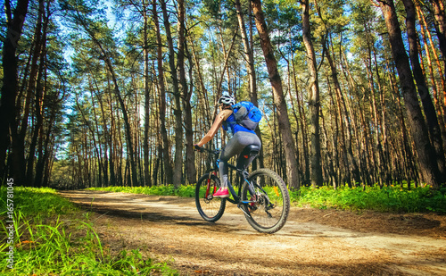 One young woman - cyclist in a helmet riding a mountain bike outside the city, on the road in a pine forest on a summer day.