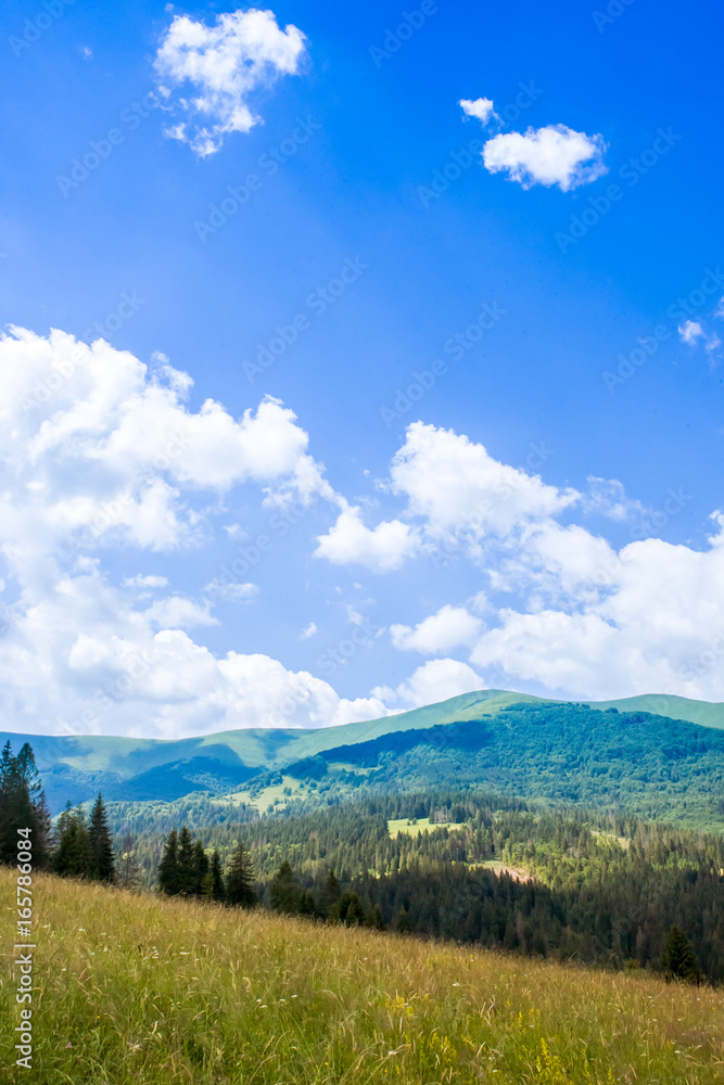Mountain valley during cloudy summer middle day. Natural summer landscape with flower fields in Carpathian mountains in Ukraine.