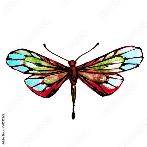 beautiful dragonfly, butterfly,watercolor,isolated on a white