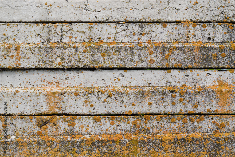 Concrete plates with yellow moss. Abstract background. Concrete plates with yellow moss. Abstract background.