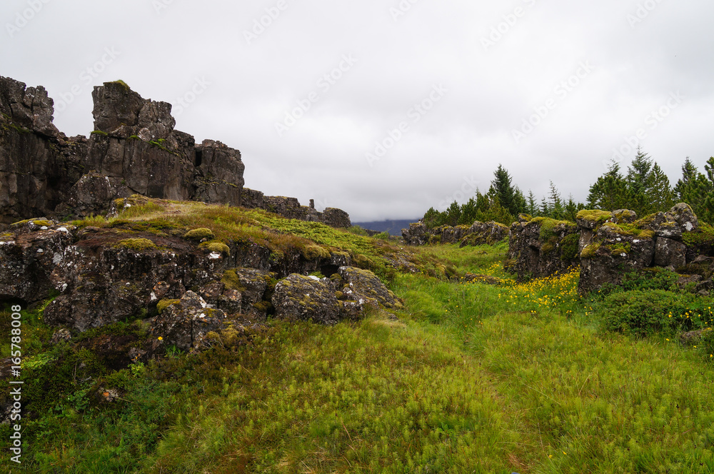 Thingvellir National Park in summer, Iceland.