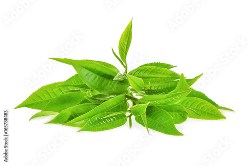 pile of green tea leaves ilsolated on white background