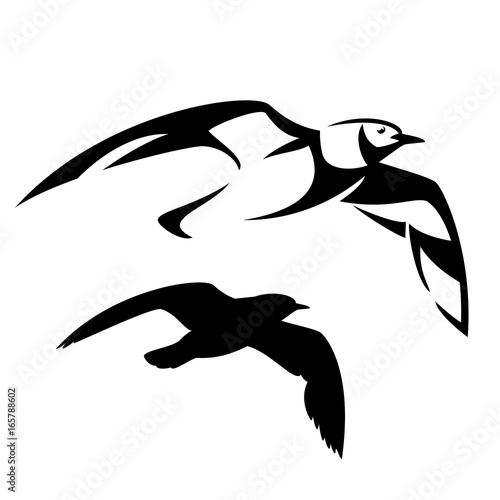 flying seagull vector design - black and white bird outline and silhouette