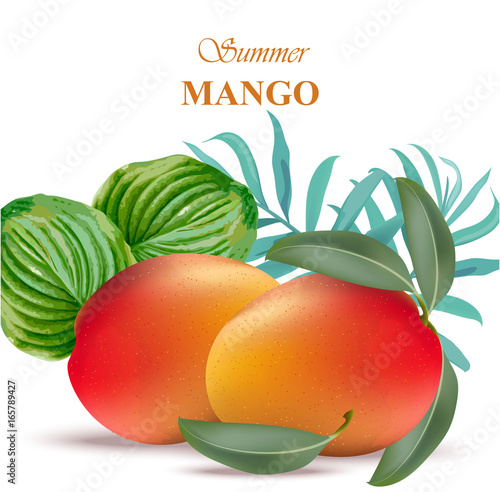 Mango fruit with green leaves Vector illustration
