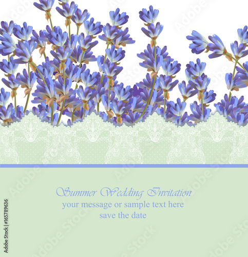 Lavender card province style. Vector detailed realistic flowers