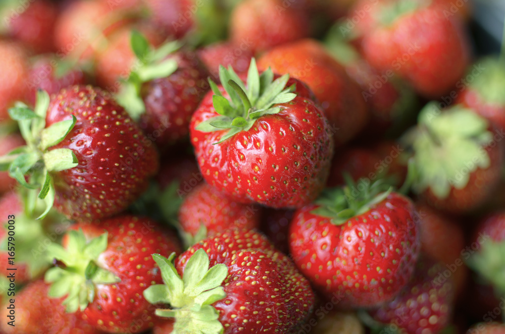 Several bright red ripe berries of strawberry in a natural look against the background of a lot of berries Several bright red ripe berries of strawberry in a natural look against the background of a lot of berries