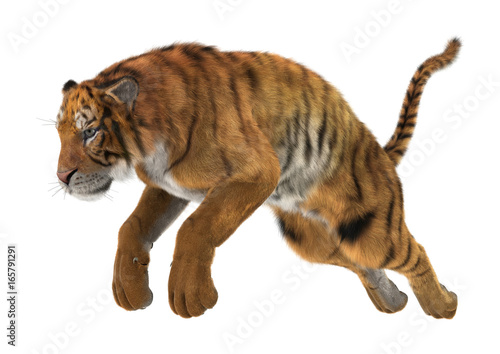 Fototapeta Naklejka Na Ścianę i Meble -  3D Rendering Big Cat Tiger on White