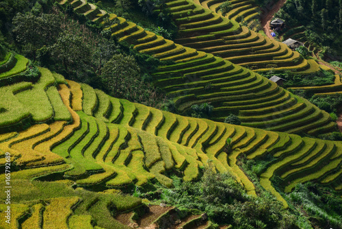Landscape of terraced rice field in Northern Vietnam
