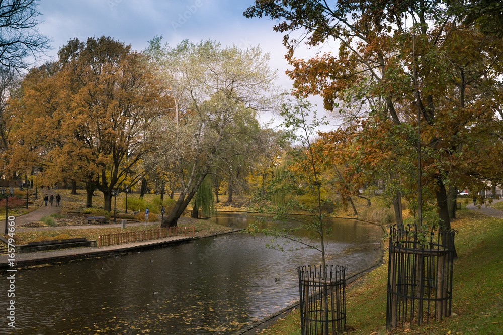 River and bridge in golden autumn city park