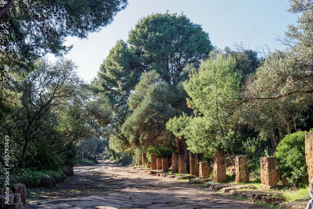 Fototapeta premium Tipaza - Algieria