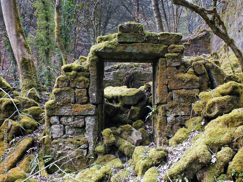 Photos the remains of a derelict abandoned stone house covered in moss and overgrown wi
