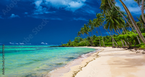 Tropical beach on south side of Upolu  Samoa Island with palm trees