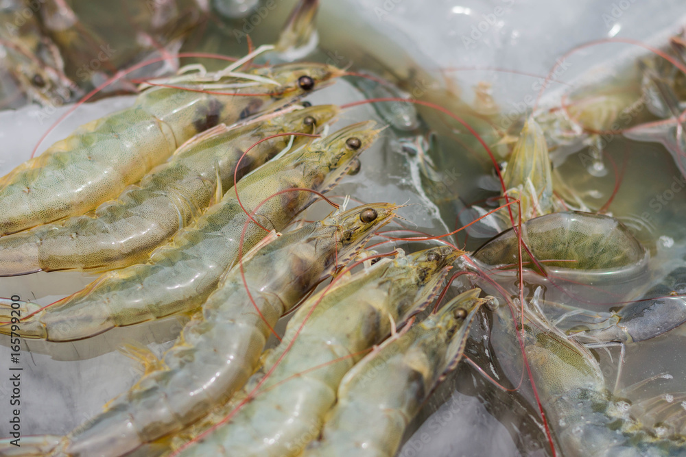 Fresh shrimp Fresh shrimp