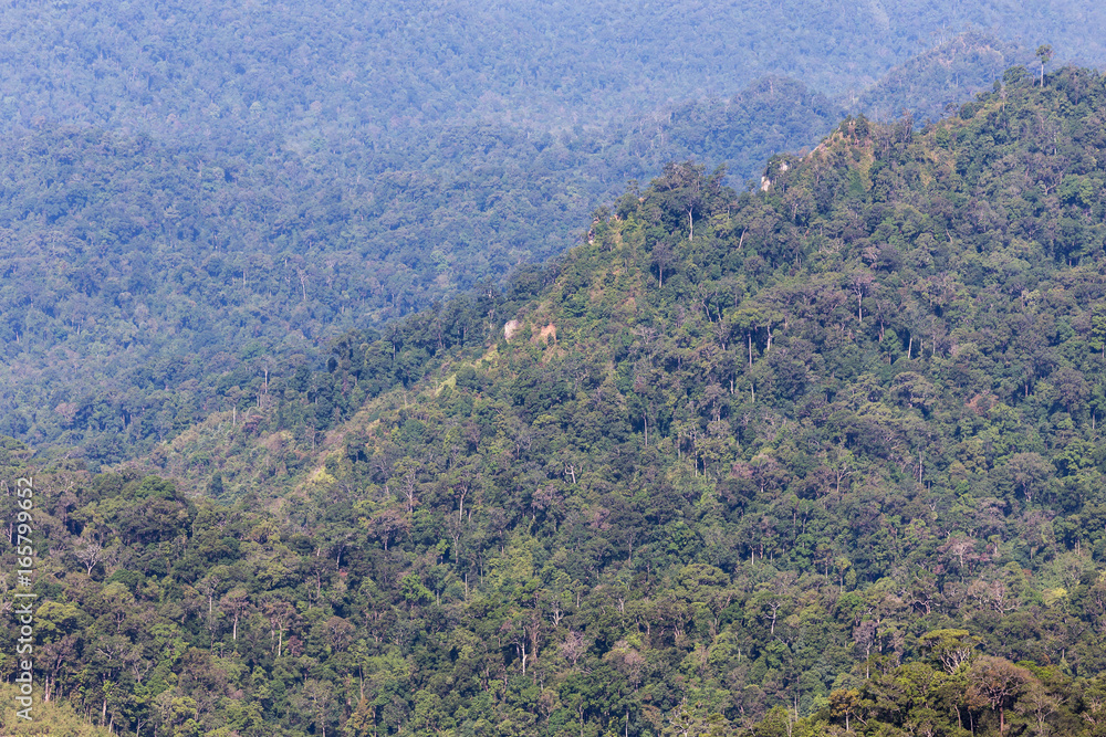 high angle viewpoint over rainforest mountains in Thailand. high angle viewpoint over rainforest mountains in Thailand.